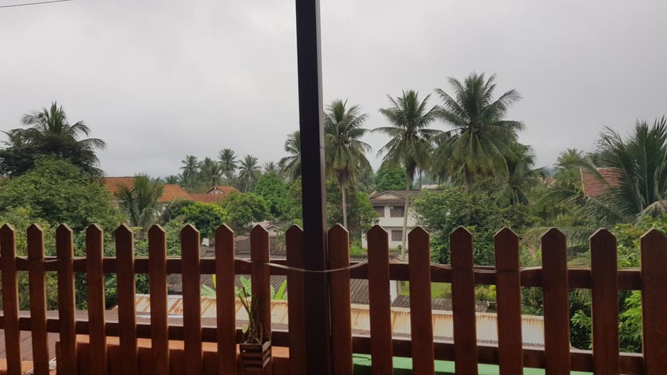 Day, Garden, Garden view
