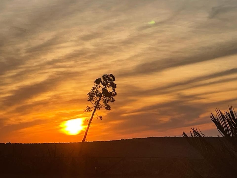 Sunrise