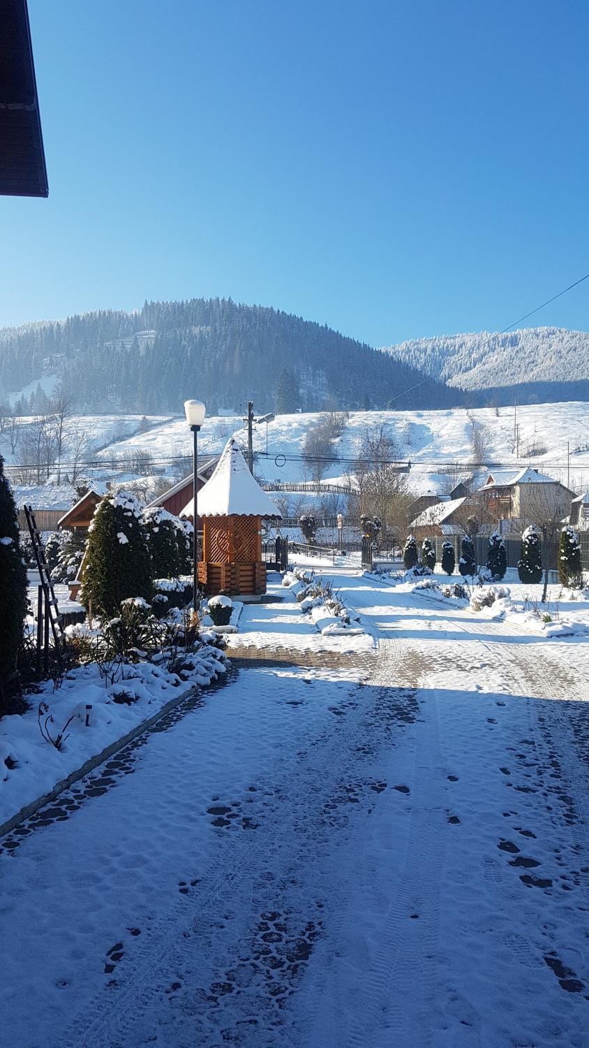 Pensiunea Casa Cristina Bed and Breakfast in Romania