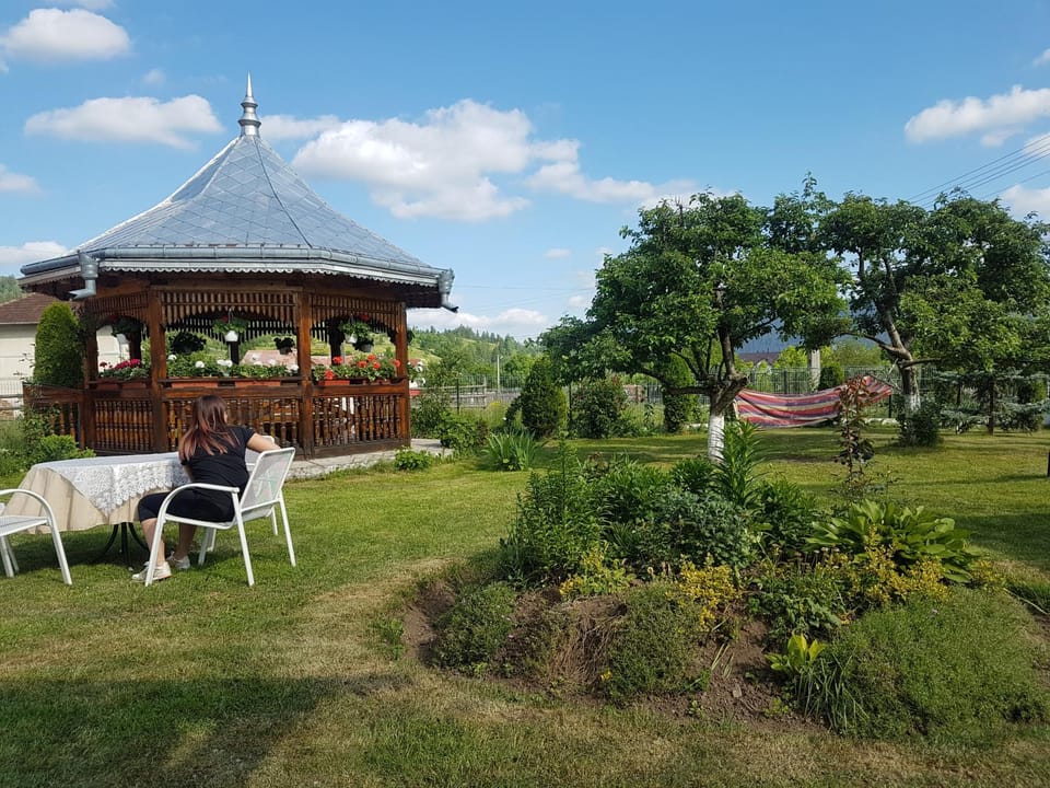 Pensiunea Casa Cristina Bed and Breakfast in Romania