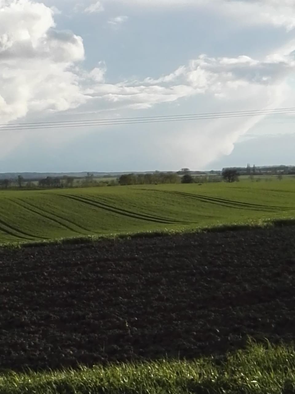 Natural landscape