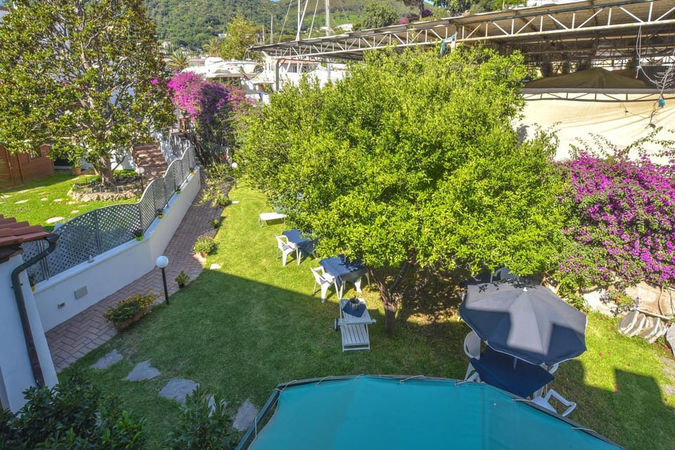 Garden view