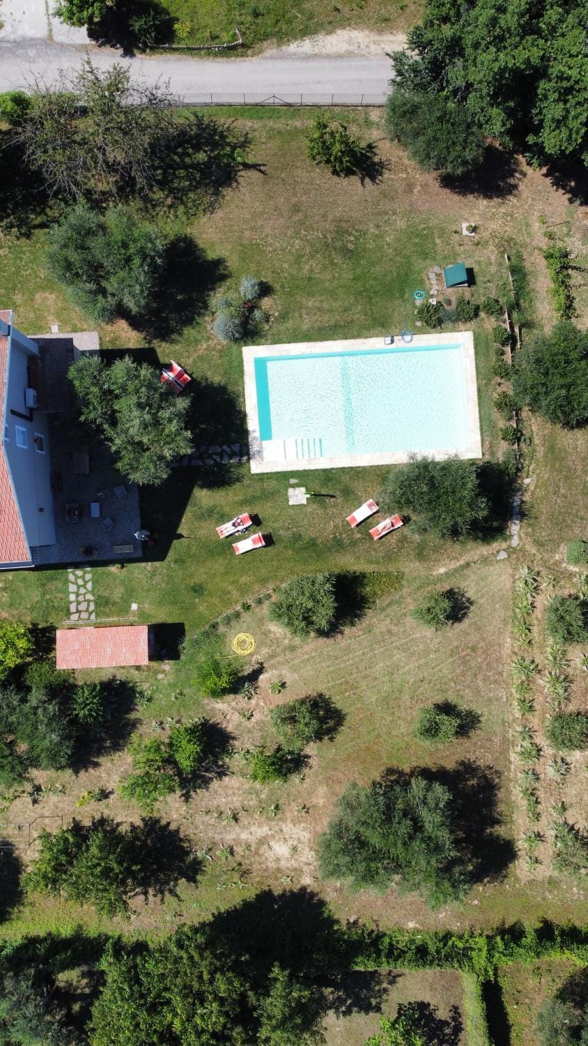 Garden, Swimming pool