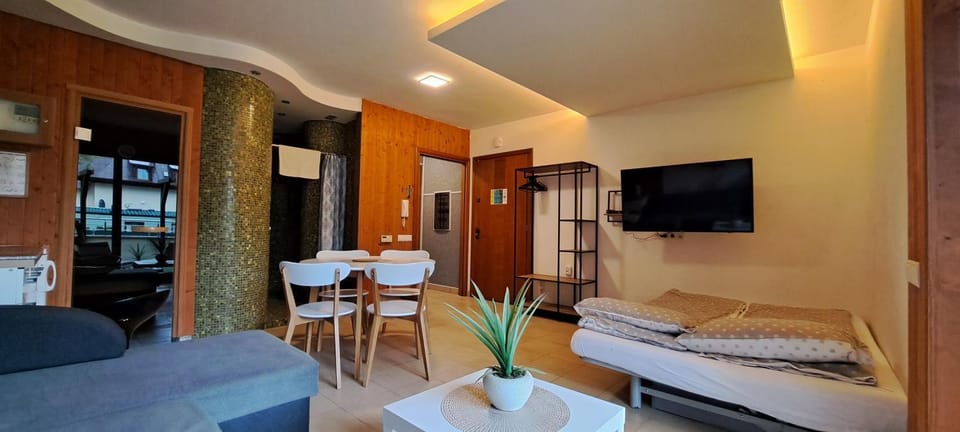 Communal lounge/ TV room, TV and multimedia, Kitchen or kitchenette, Living room, Photo of the whole room, Seating area, Dining area, Evening entertainment, Bedroom
