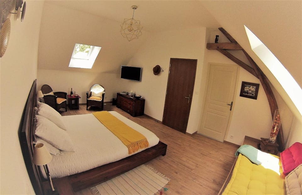 TV and multimedia, Photo of the whole room, Seating area