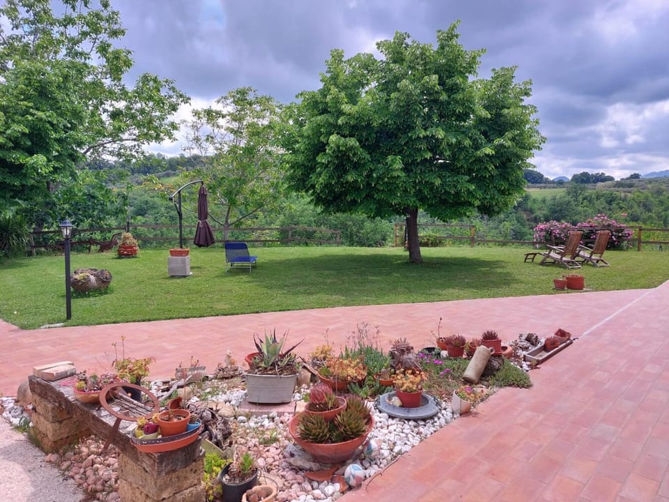Spring, Natural landscape, Garden