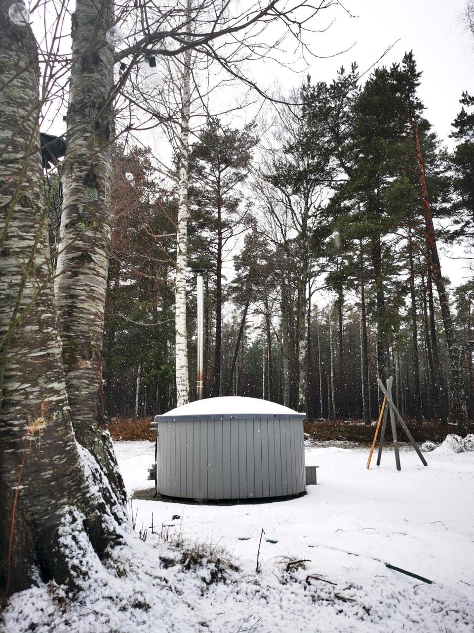 Mežalauki House in Estonia