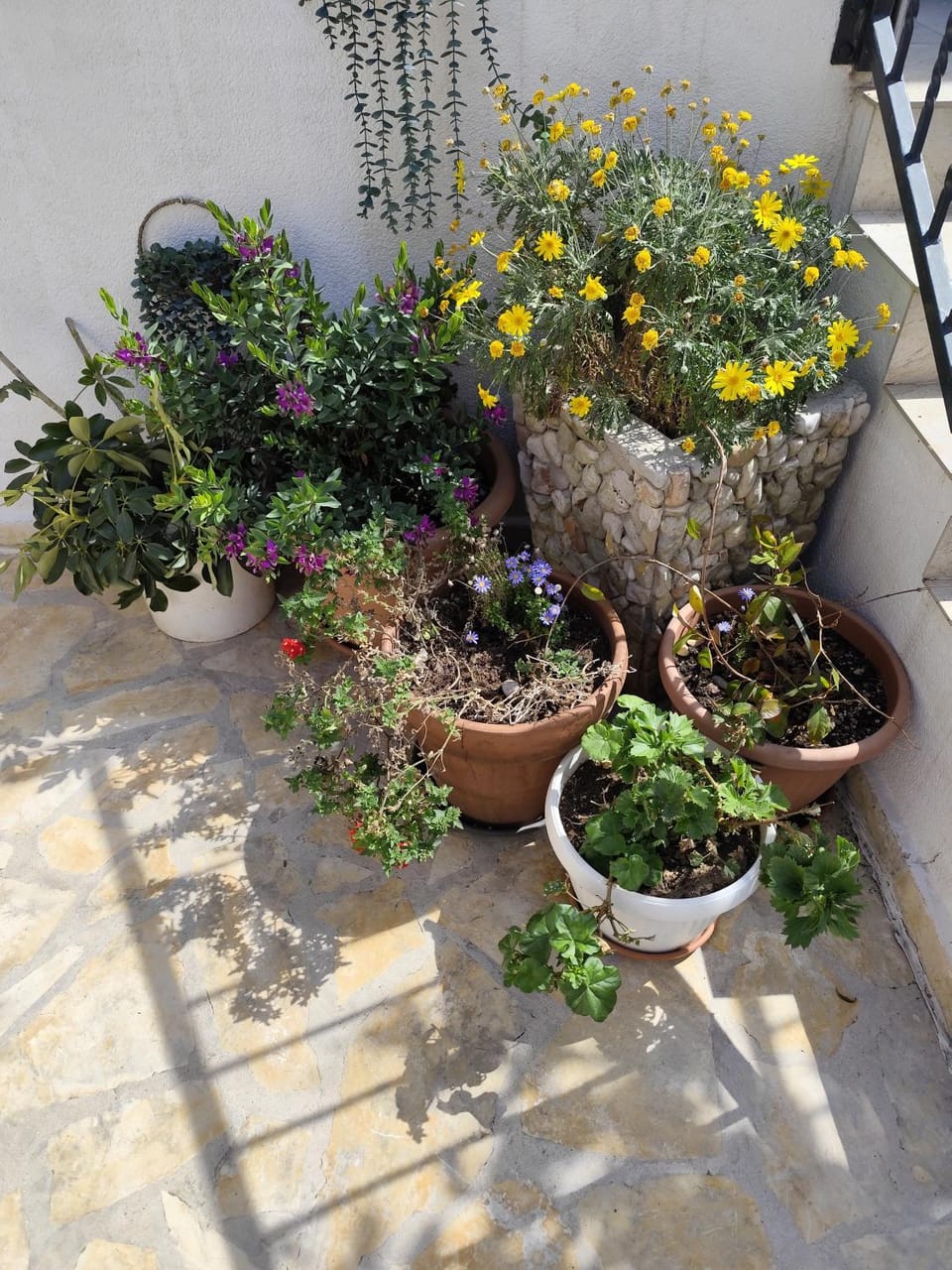 Apartments Milevčić Apartment in Dubrovnik-Neretva County