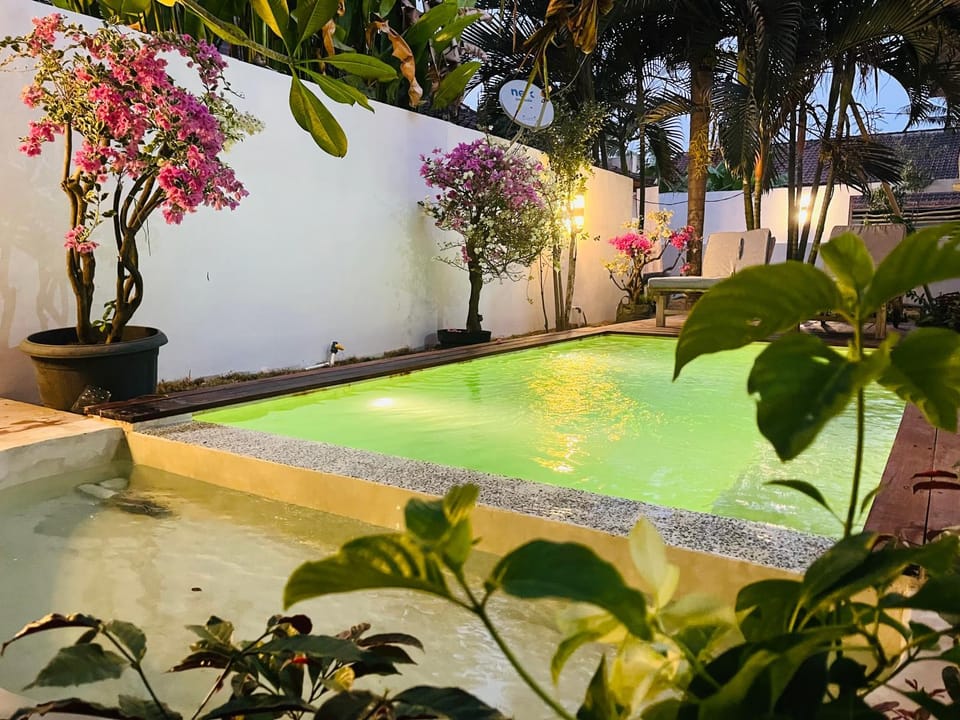 Palm Green Hotel Campground/ 
RV Resort in Pujut