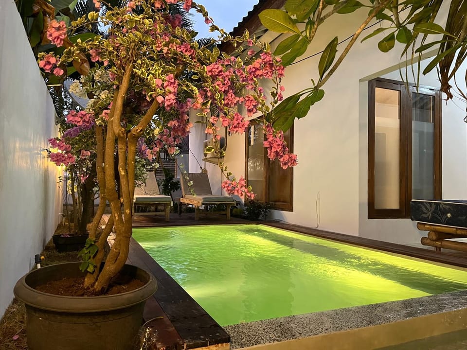 Palm Green Hotel Campground/ 
RV Resort in Pujut