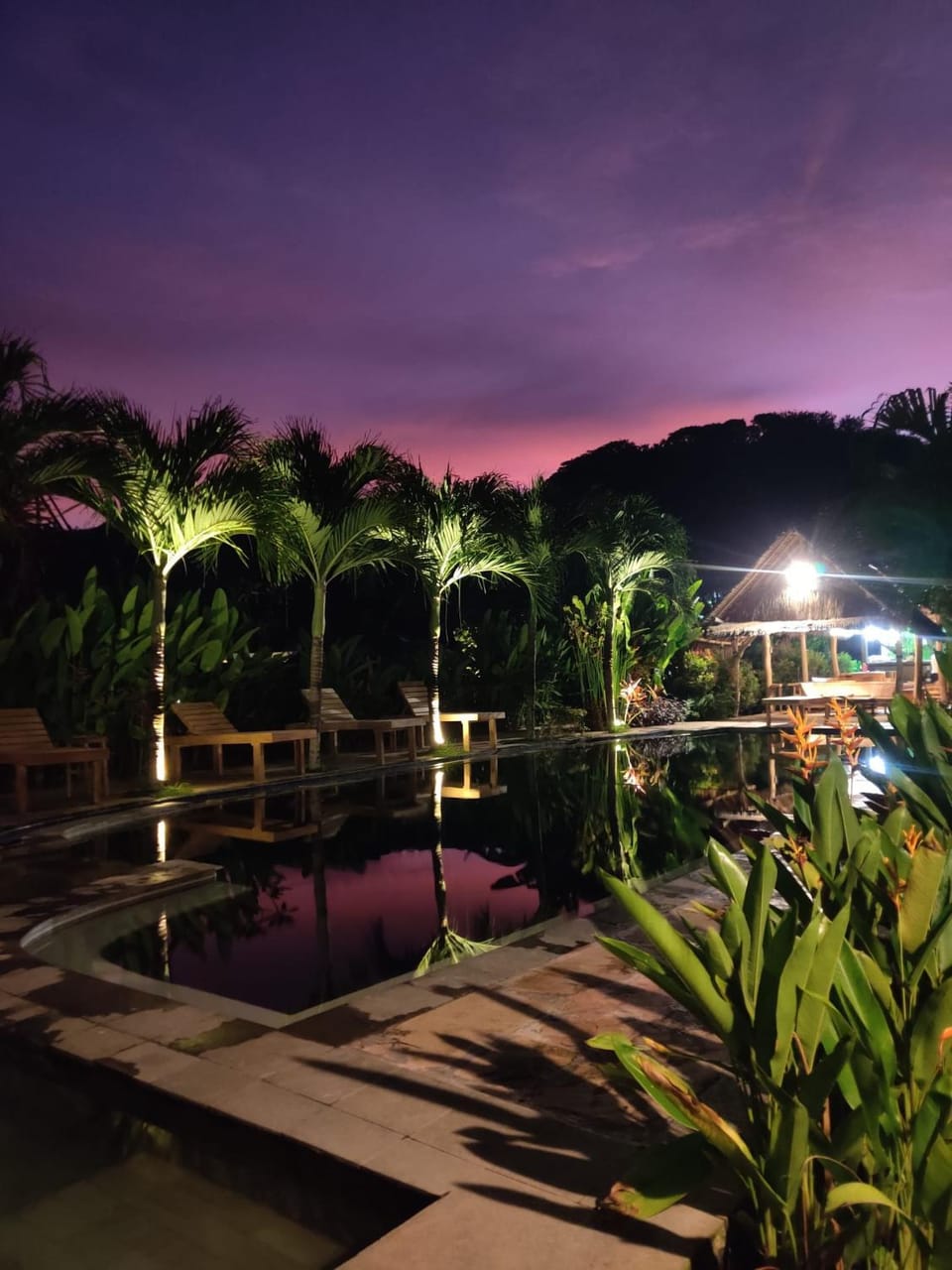 Night, Natural landscape, Garden, Garden view, Pool view, Swimming pool