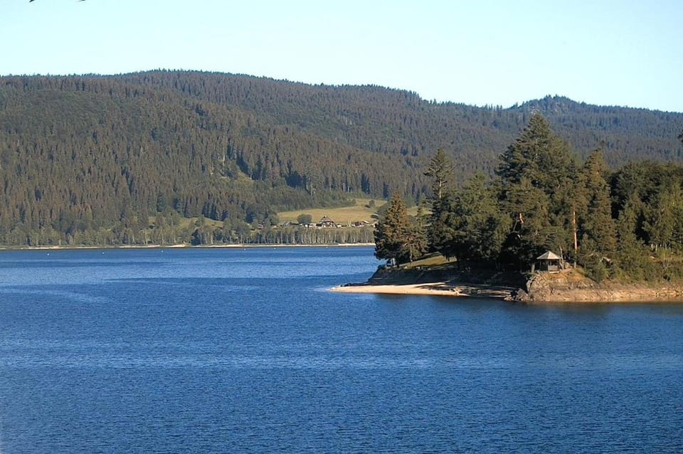 Lake view