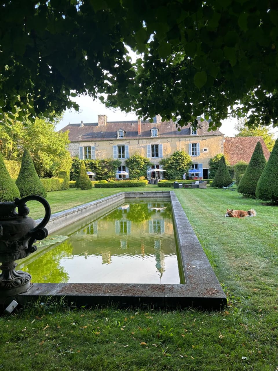 Garden view