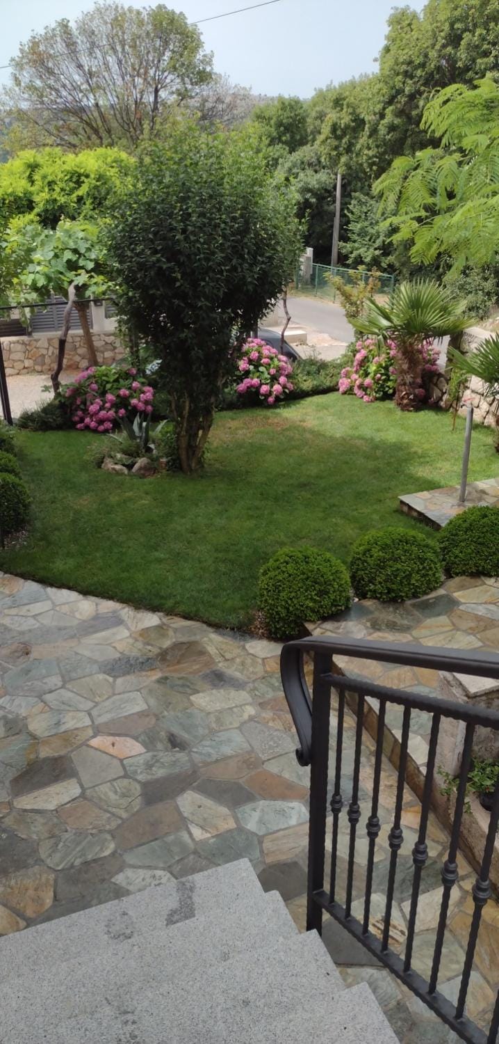 Garden view