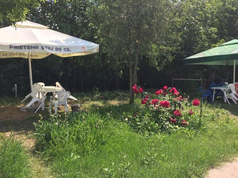Garden view, Area and facilities