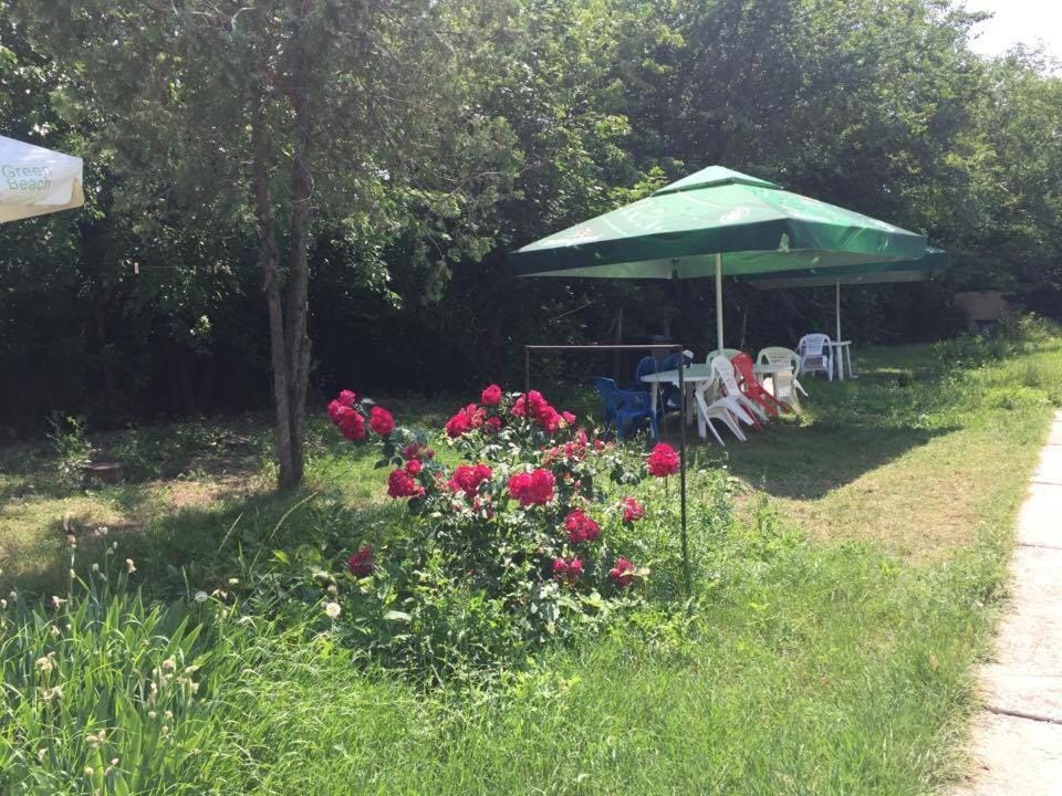 Activities, Garden view, Area and facilities