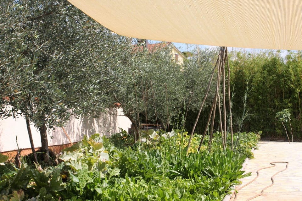 Day, Summer, Garden, On site, Garden view