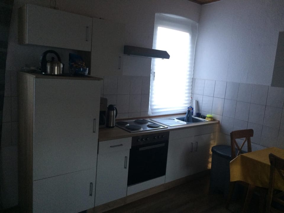 Kitchen or kitchenette, Photo of the whole room, Decorative detail, Dining area