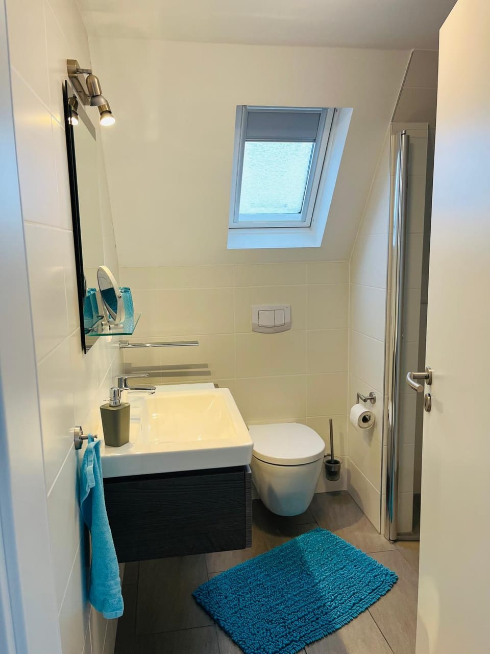 Toilet, Bathroom