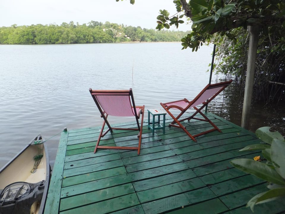Lake view