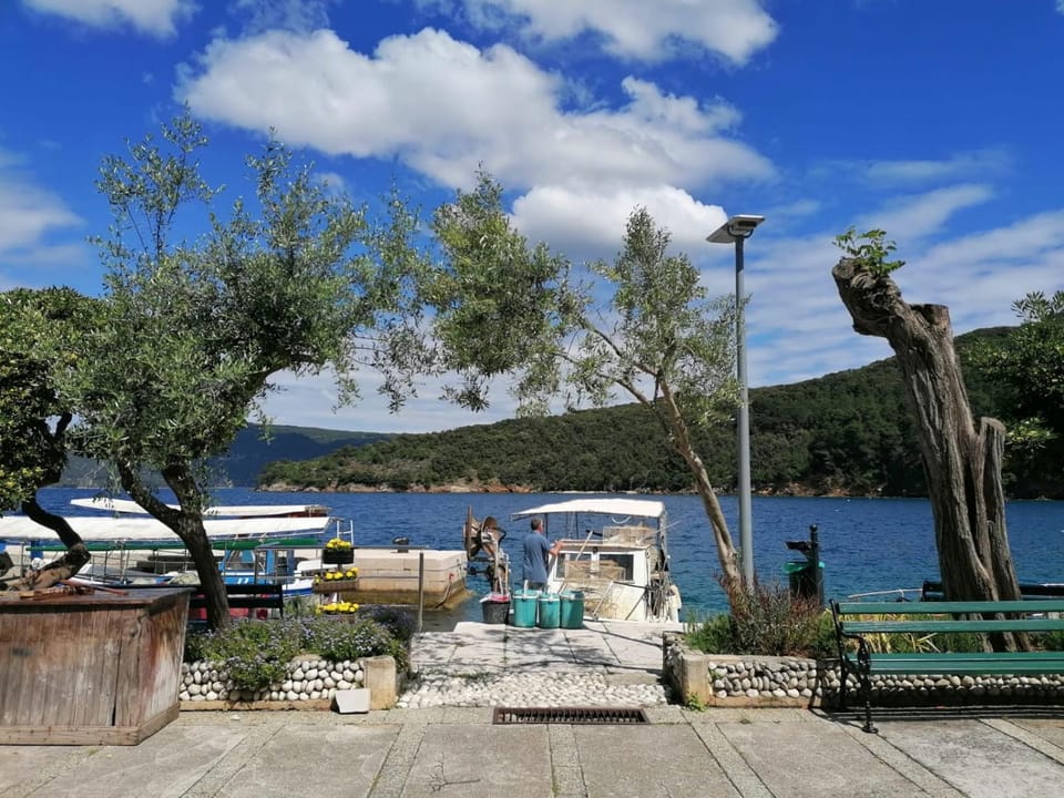 Apartments & Rooms Dinko Bed and Breakfast in Primorje-Gorski Kotar County