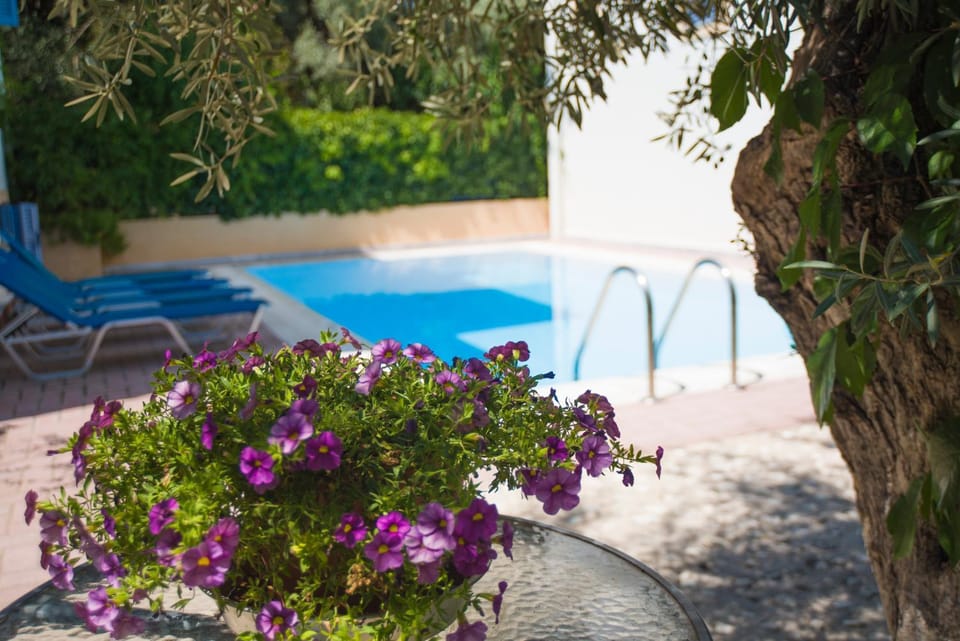 Shower, Seating area, Swimming pool, Swimming pool