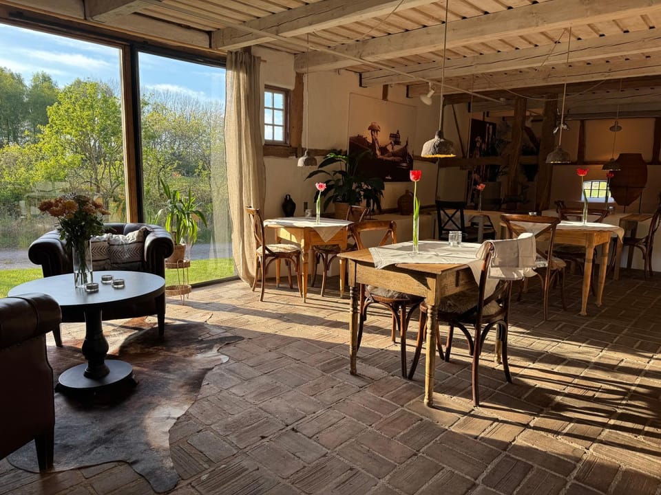 Day, Seating area, Dining area
