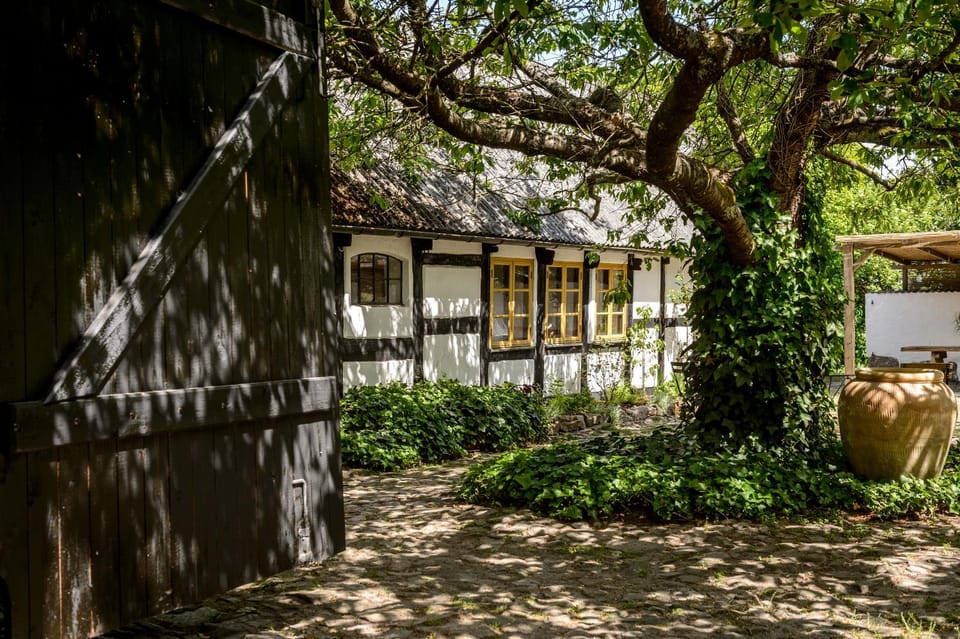 Property building, Day