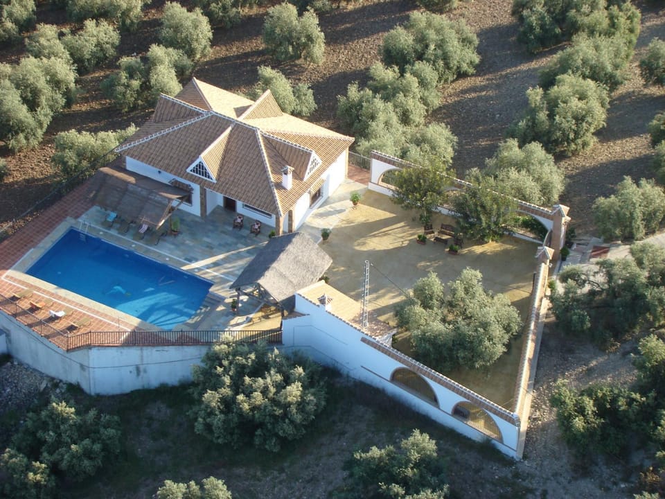 Off site, Bird's eye view, Garden, Decorative detail, Pool view, Area and facilities, Area and facilities