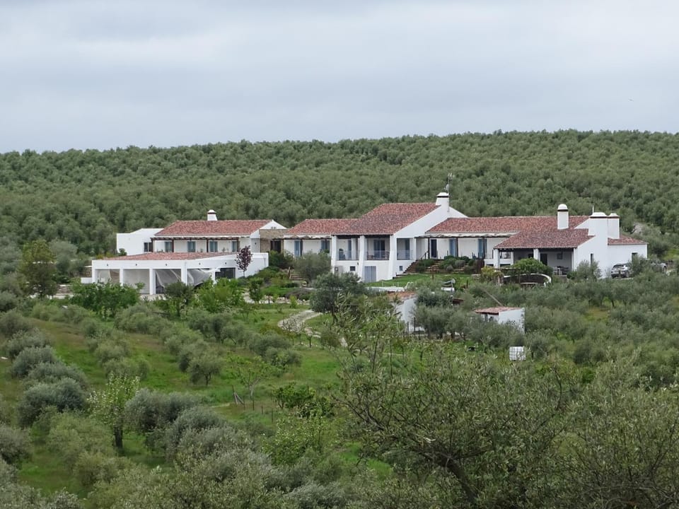 Property building, Spring