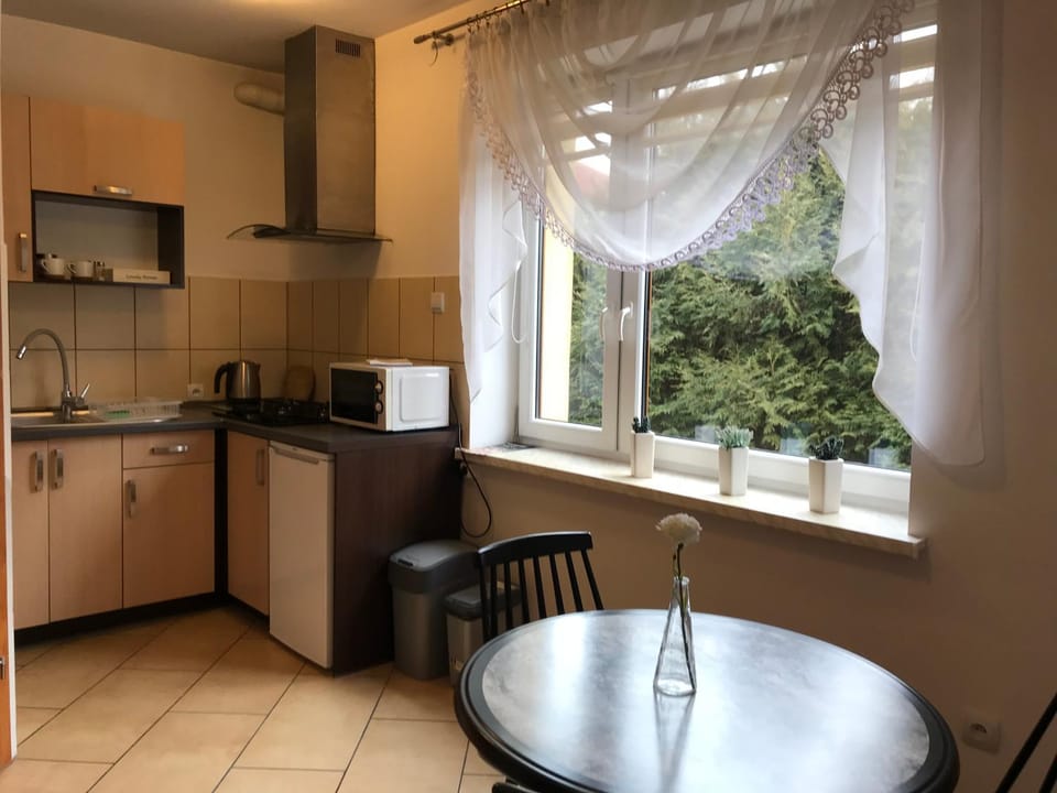 Apartamenty Milówka Centrum Apartment in Lesser Poland Voivodeship