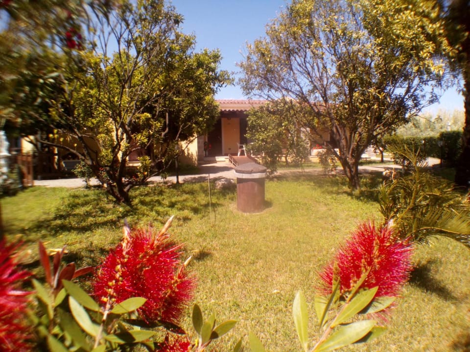Property building, Spring, Summer, Garden, Autumn, Garden view