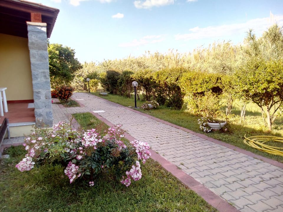 Spring, Day, Natural landscape, Summer, Garden, Autumn, Garden view