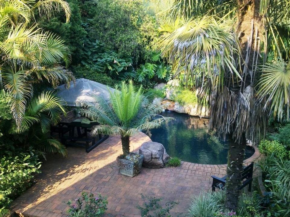 Garden, Swimming pool