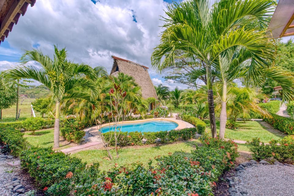 Natural landscape, Garden, Pool view, Swimming pool, Swimming pool