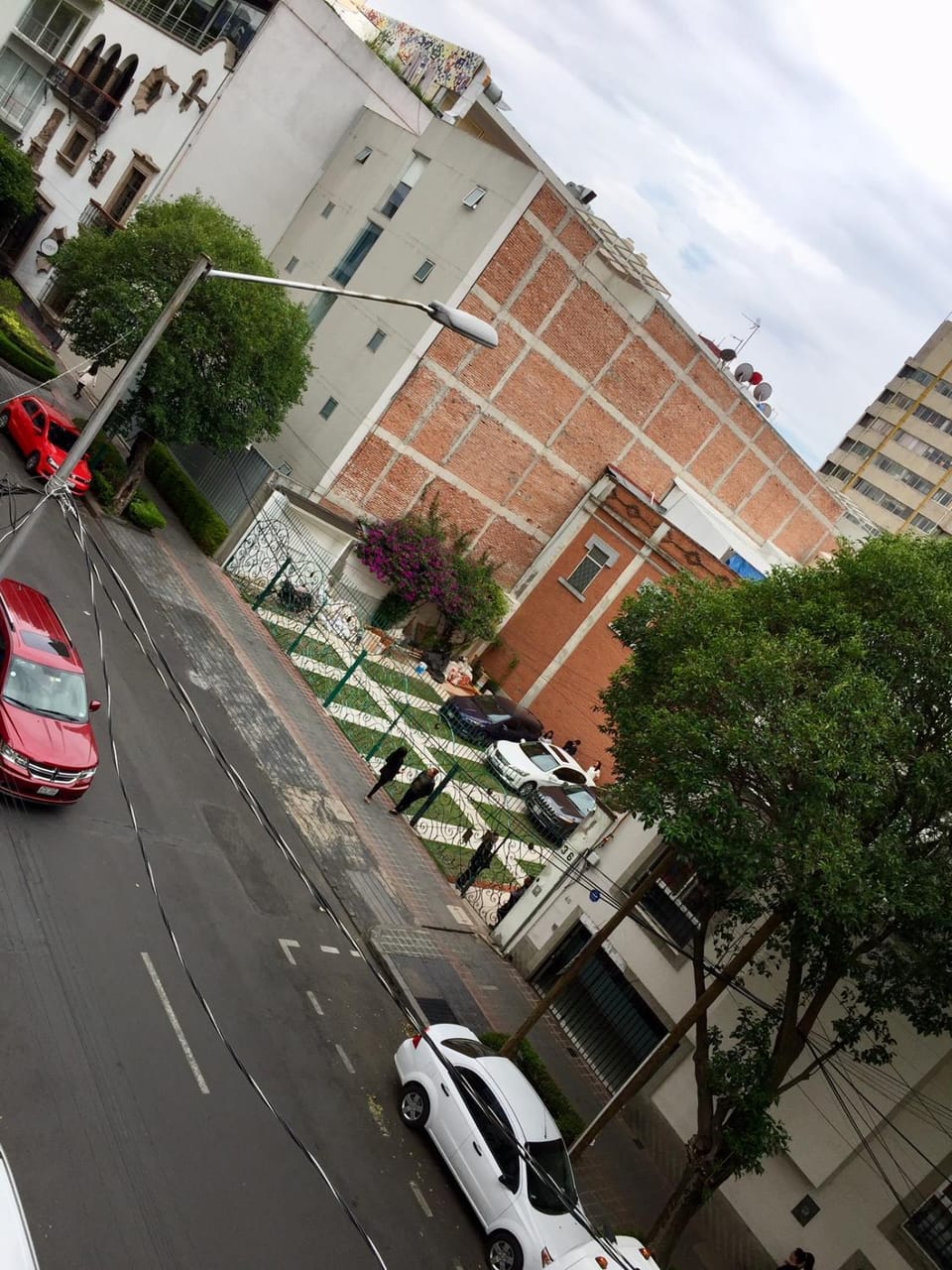 Street view, Certificate/Award