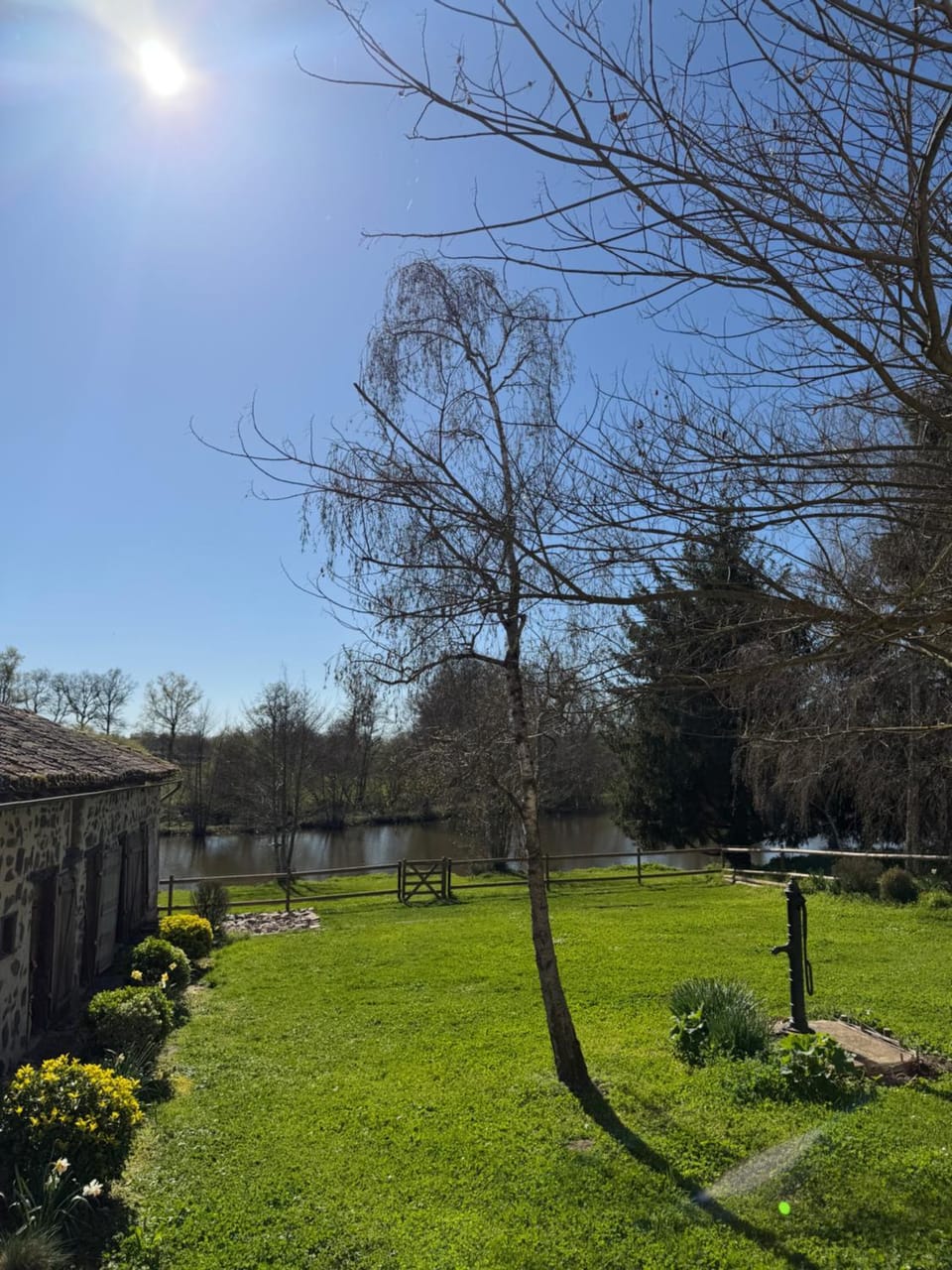 Garden view