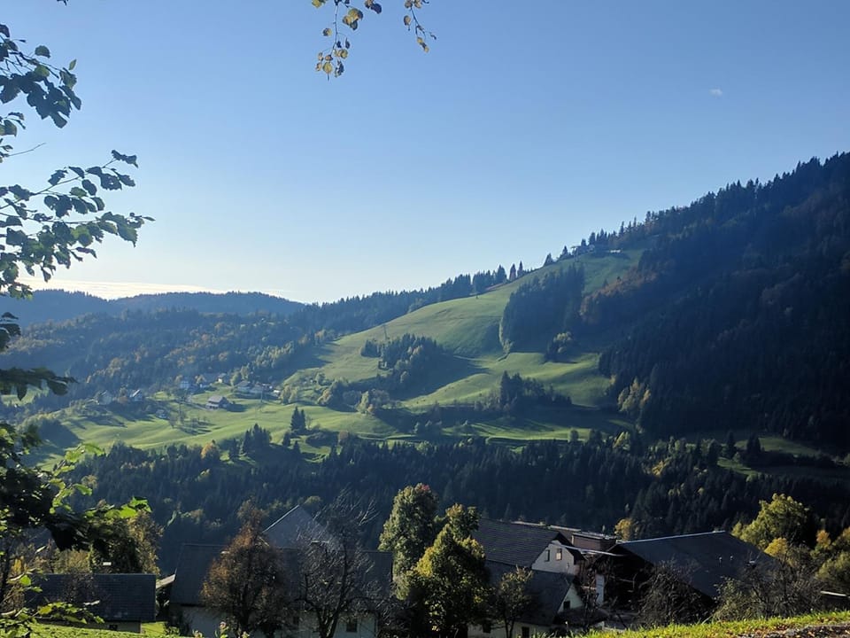 Gostišče in Penzion Stari Vrh Bed and Breakfast in Slovenia