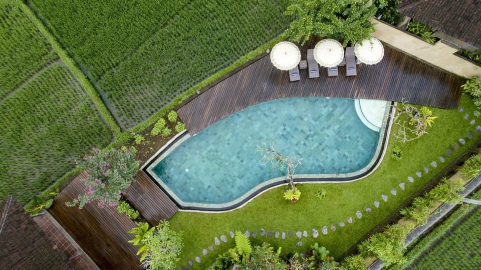 Day, Neighbourhood, Natural landscape, Swimming pool, sunbed