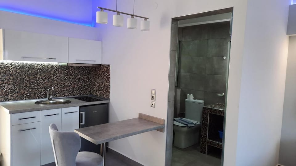 Kitchen or kitchenette, kitchen