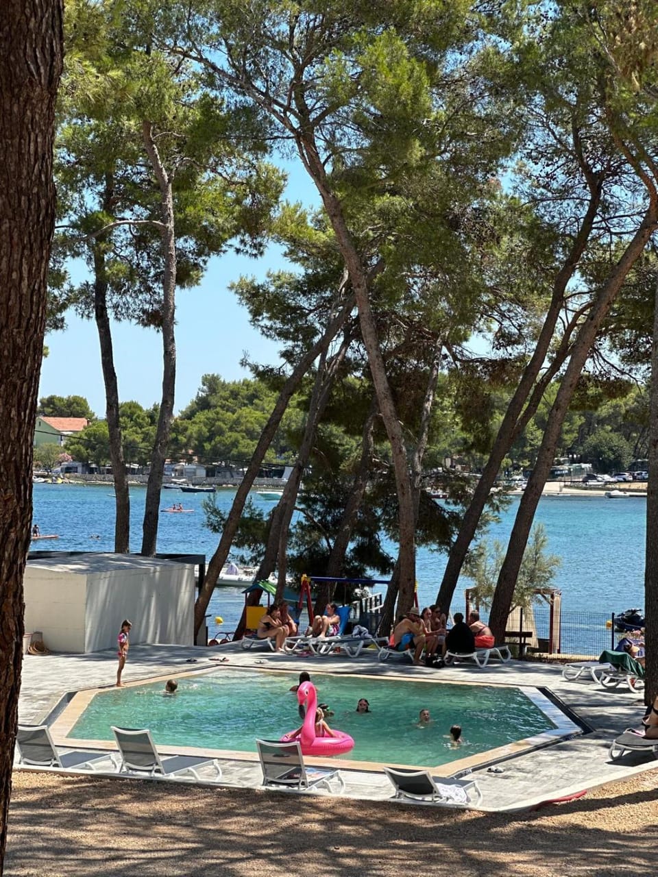 Swimming pool