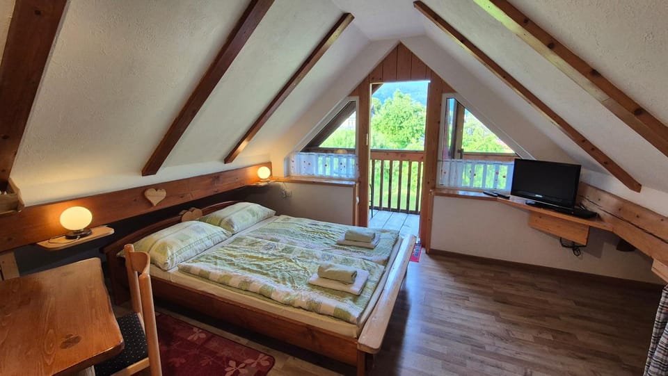 Bed, TV and multimedia, Photo of the whole room