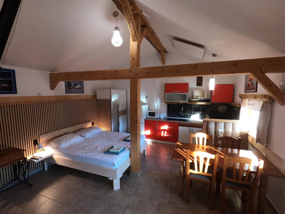 Bed, Kitchen or kitchenette, Living room, Photo of the whole room, Seating area, Dining area, Bedroom