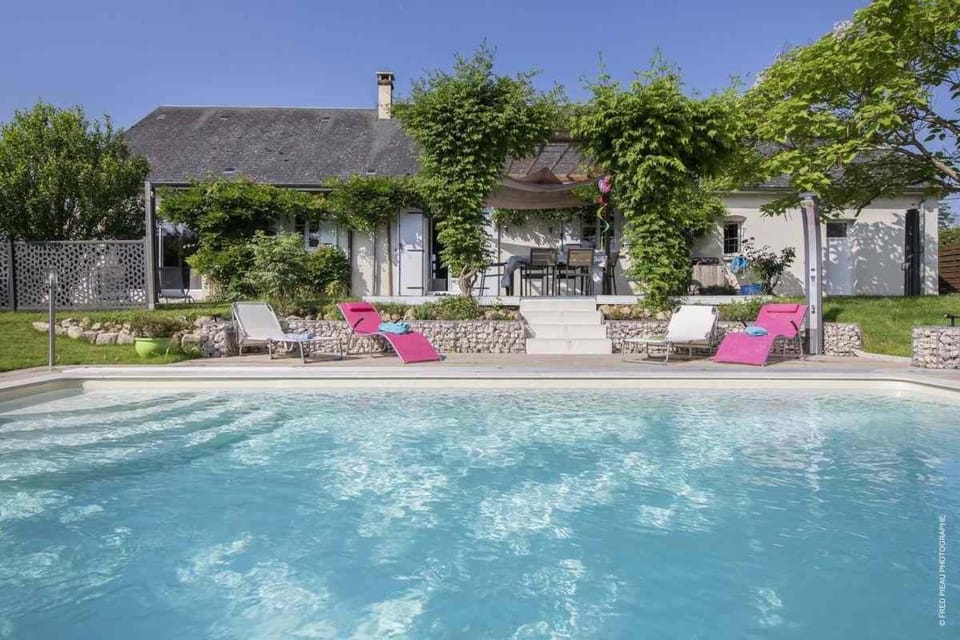 Garden, Swimming pool, sunbed