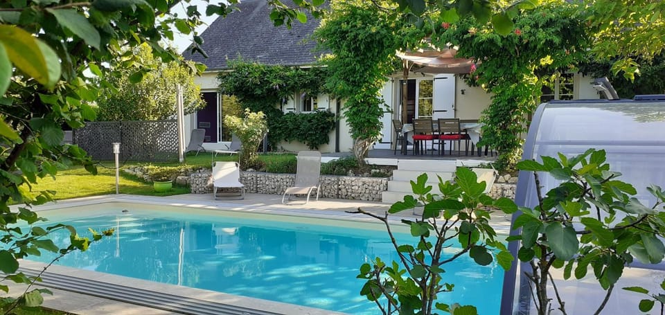 Garden, Swimming pool, sunbed