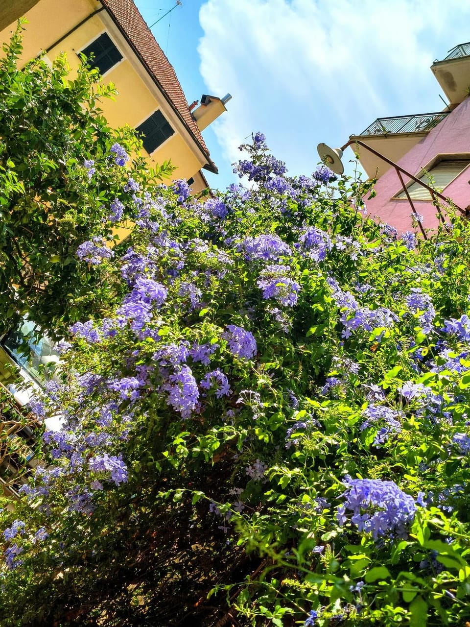 Perla Nera Guesthouse Bed and Breakfast in Imperia