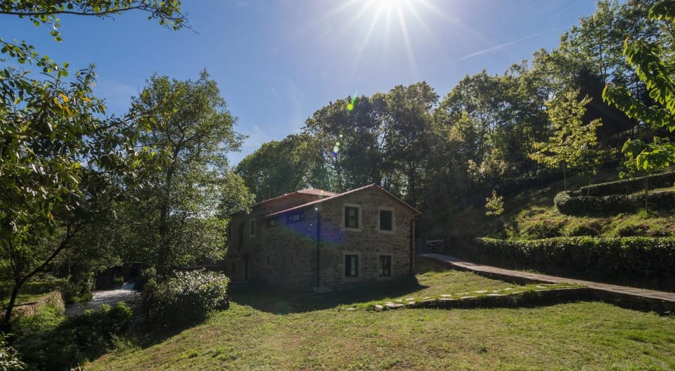 Property building, Garden view
