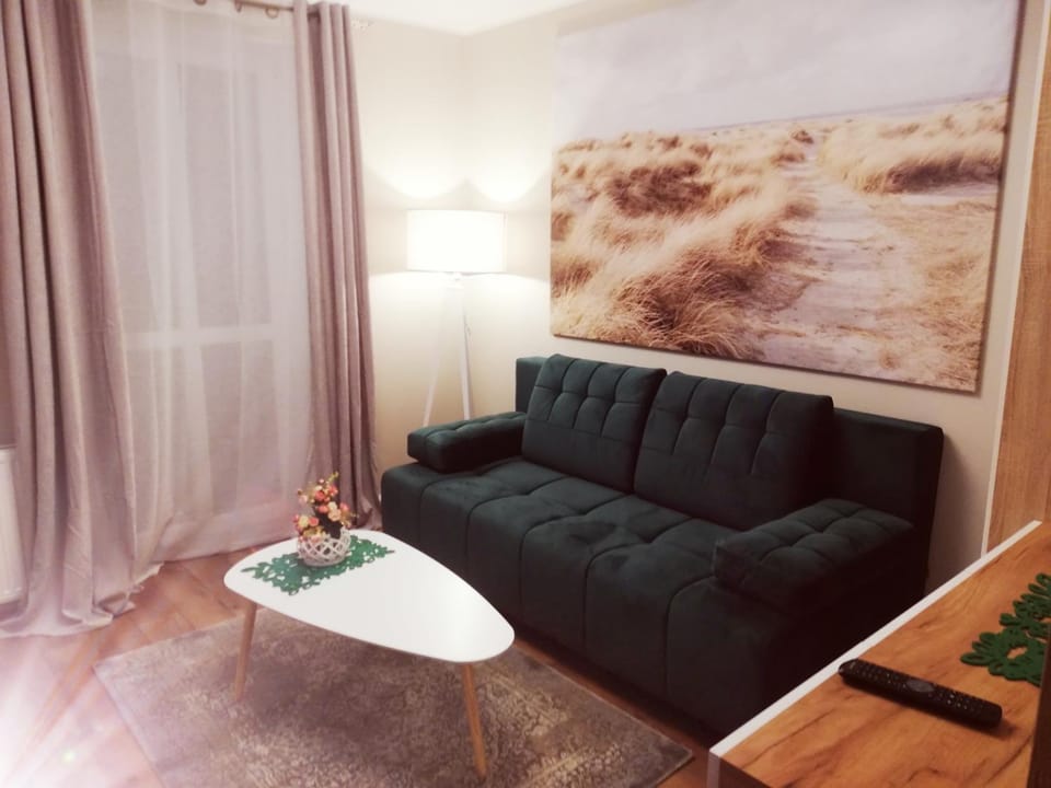 Apartamenty przy Gimnazjalnej Apartment in Greater Poland Voivodeship