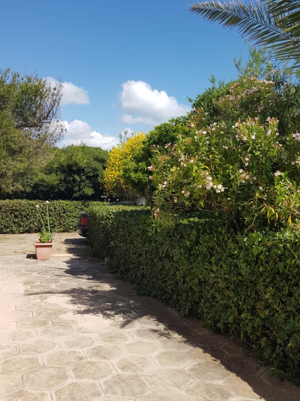 Villa Cino Villa in Apulia