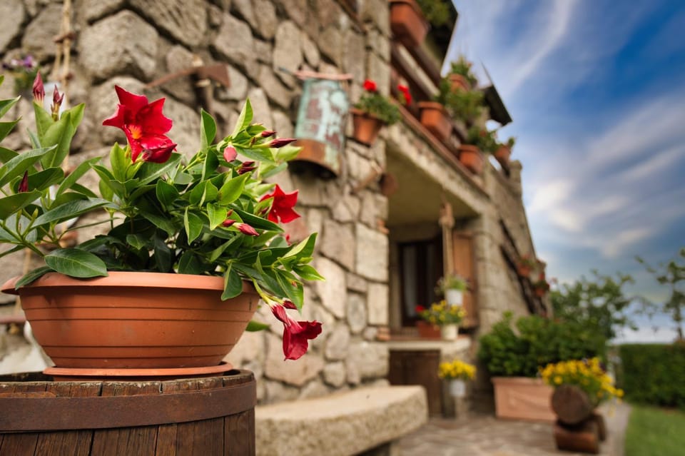 Property building, Garden, Garden
